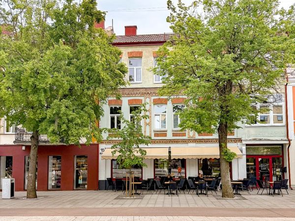 Panevėžys, Centras