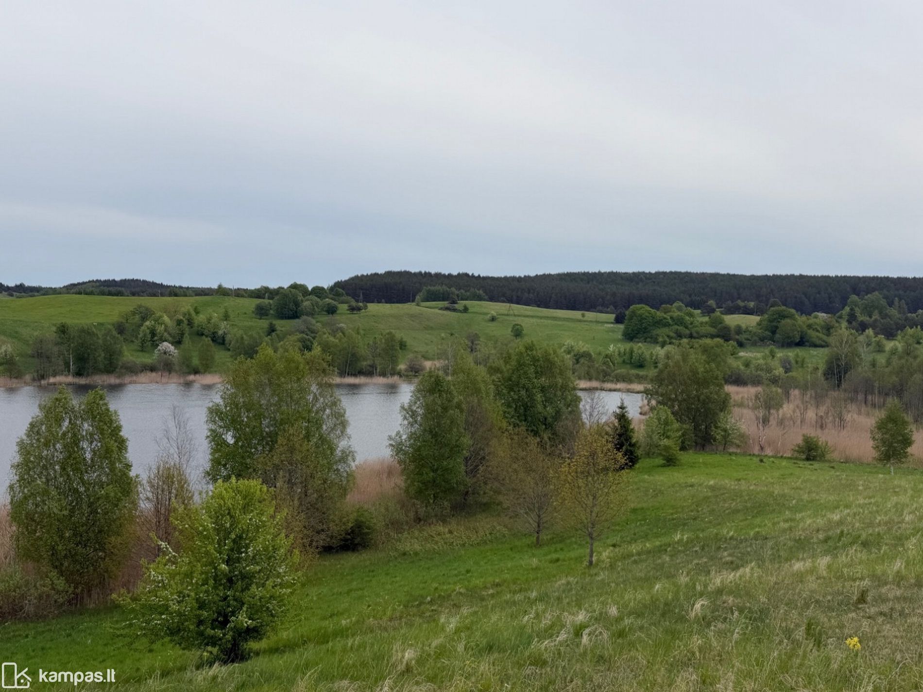 Main Image Vilkaviškio r. sav., Vištytis