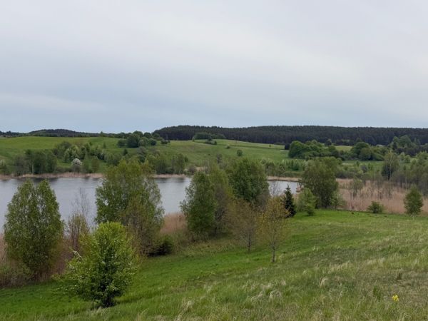 Vilkaviškio r. sav., Vištytis