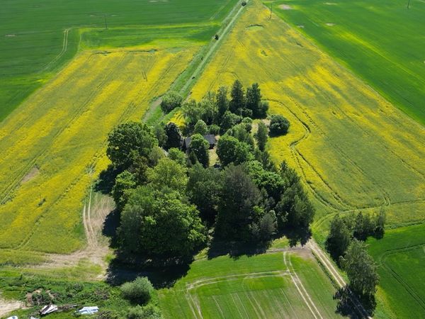 Prienų r. sav., Petkeliškės