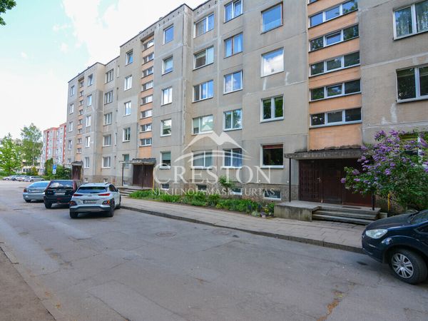Šiauliai, Dainai