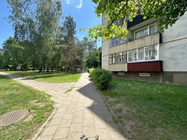 Panevėžys, Centras