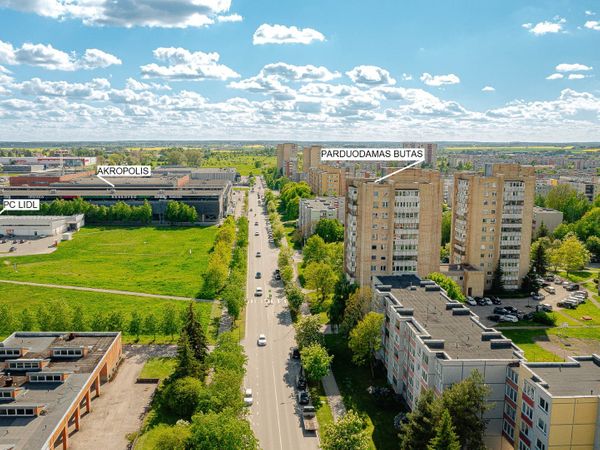 Šiauliai, Gytariai
