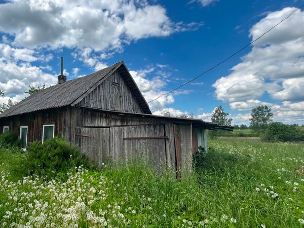 Molėtų r. sav., Vidugiris