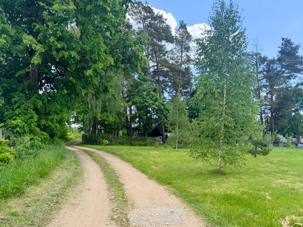Trakų r. sav., Vištelionys