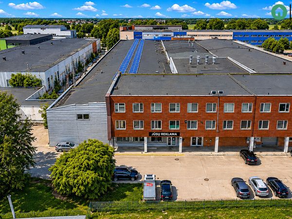 Šiauliai, Dainai