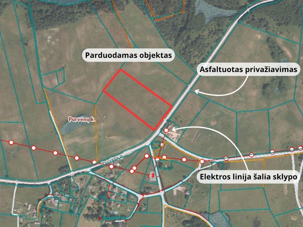 Molėtų r. sav., Purvėnai