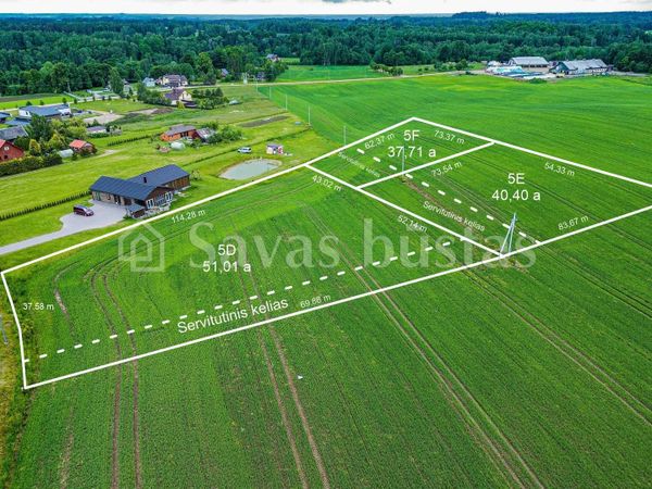 Plungės r. sav., Kaušėnai